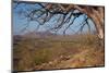 Dry River-JeremyRichards-Mounted Photographic Print