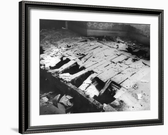 Dry Rot-null-Framed Photographic Print