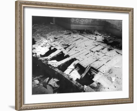 Dry Rot-null-Framed Photographic Print