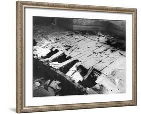 Dry Rot-null-Framed Photographic Print