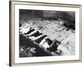Dry Rot-null-Framed Photographic Print