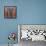 Dry Season, Loisaba-Mark Adlington-Framed Stretched Canvas displayed on a wall