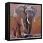 Dry Season, Loisaba-Mark Adlington-Framed Stretched Canvas