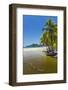 Dry Season River Mouth at Palm Fringed Playa Carrillo-Rob Francis-Framed Photographic Print