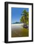 Dry Season River Mouth at Palm Fringed Playa Carrillo-Rob Francis-Framed Photographic Print