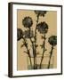 Dry Stems I-Samuel Dixon-Framed Art Print