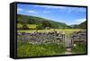 Dry Stone Wall and Gate in Meadow at Muker-Mark Sunderland-Framed Stretched Canvas