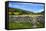 Dry Stone Wall and Gate in Meadow at Muker-Mark Sunderland-Framed Stretched Canvas