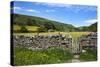 Dry Stone Wall and Gate in Meadow at Muker-Mark Sunderland-Stretched Canvas
