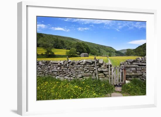 Dry Stone Wall and Gate in Meadow at Muker-Mark Sunderland-Framed Photographic Print