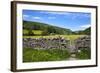 Dry Stone Wall and Gate in Meadow at Muker-Mark Sunderland-Framed Photographic Print