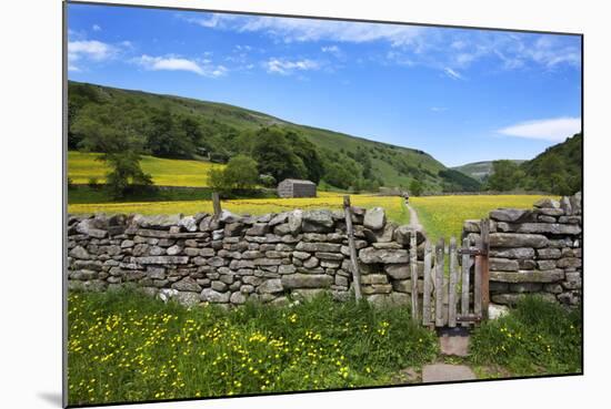 Dry Stone Wall and Gate in Meadow at Muker-Mark Sunderland-Mounted Photographic Print