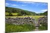 Dry Stone Wall and Gate in Meadow at Muker-Mark Sunderland-Mounted Photographic Print