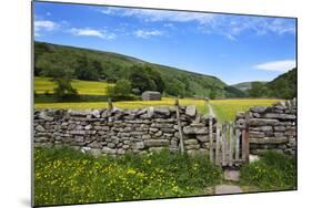 Dry Stone Wall and Gate in Meadow at Muker-Mark Sunderland-Mounted Photographic Print