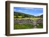 Dry Stone Wall and Gate in Meadow at Muker-Mark Sunderland-Framed Photographic Print