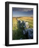 Dry Stone Wall and Moorland Grassland, Late Evening Light, Dartmoor Np, Devon, Uk. September 2008-Ross Hoddinott-Framed Premium Photographic Print