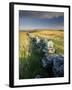 Dry Stone Wall and Moorland Grassland, Late Evening Light, Dartmoor Np, Devon, Uk. September 2008-Ross Hoddinott-Framed Photographic Print