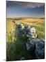 Dry Stone Wall and Moorland Grassland, Late Evening Light, Dartmoor Np, Devon, Uk. September 2008-Ross Hoddinott-Mounted Photographic Print