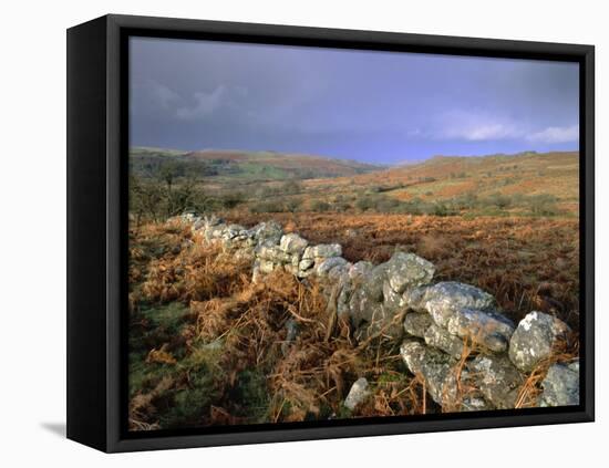 Dry Stone Wall, Autumnal Scene Near Haytor, Dartmoor National Park, Devon, England, UK, Europe-Lee Frost-Framed Stretched Canvas