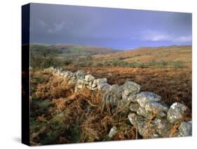 Dry Stone Wall, Autumnal Scene Near Haytor, Dartmoor National Park, Devon, England, UK, Europe-Lee Frost-Stretched Canvas