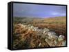 Dry Stone Wall, Autumnal Scene Near Haytor, Dartmoor National Park, Devon, England, UK, Europe-Lee Frost-Framed Stretched Canvas