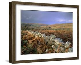 Dry Stone Wall, Autumnal Scene Near Haytor, Dartmoor National Park, Devon, England, UK, Europe-Lee Frost-Framed Photographic Print