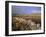 Dry Stone Wall, Autumnal Scene Near Haytor, Dartmoor National Park, Devon, England, UK, Europe-Lee Frost-Framed Photographic Print