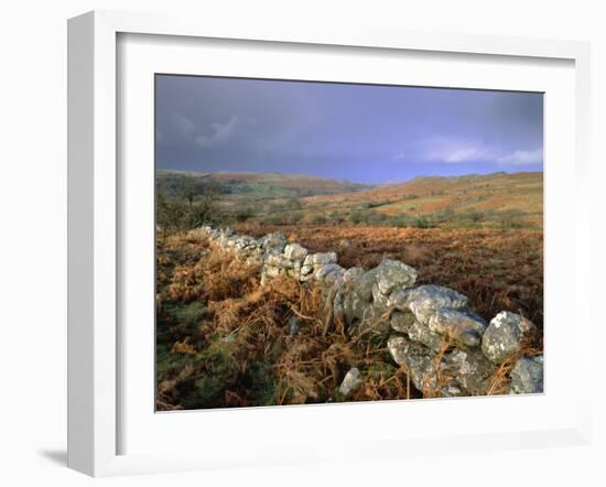 Dry Stone Wall, Autumnal Scene Near Haytor, Dartmoor National Park, Devon, England, UK, Europe-Lee Frost-Framed Photographic Print