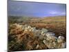 Dry Stone Wall, Autumnal Scene Near Haytor, Dartmoor National Park, Devon, England, UK, Europe-Lee Frost-Mounted Photographic Print