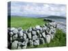 Dry Stone Wall, County Clare, Munster, Eire (Republic of Ireland)-Graham Lawrence-Stretched Canvas