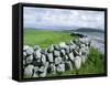 Dry Stone Wall, County Clare, Munster, Eire (Republic of Ireland)-Graham Lawrence-Framed Stretched Canvas