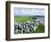 Dry Stone Wall, County Clare, Munster, Eire (Republic of Ireland)-Graham Lawrence-Framed Photographic Print