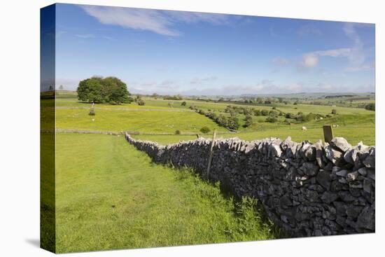 Dry Stone Wall, Farmers' Fields and a Copse of Trees, Limestone Way-Eleanor Scriven-Stretched Canvas