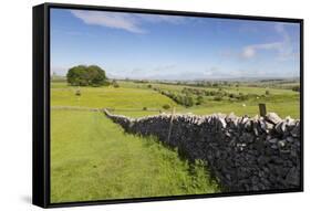 Dry Stone Wall, Farmers' Fields and a Copse of Trees, Limestone Way-Eleanor Scriven-Framed Stretched Canvas