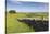 Dry Stone Wall, Farmers' Fields and a Copse of Trees, Limestone Way-Eleanor Scriven-Stretched Canvas