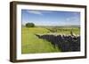 Dry Stone Wall, Farmers' Fields and a Copse of Trees, Limestone Way-Eleanor Scriven-Framed Photographic Print