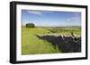 Dry Stone Wall, Farmers' Fields and a Copse of Trees, Limestone Way-Eleanor Scriven-Framed Photographic Print