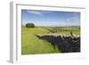 Dry Stone Wall, Farmers' Fields and a Copse of Trees, Limestone Way-Eleanor Scriven-Framed Photographic Print