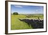 Dry Stone Wall, Farmers' Fields and a Copse of Trees, Limestone Way-Eleanor Scriven-Framed Photographic Print