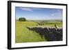 Dry Stone Wall, Farmers' Fields and a Copse of Trees, Limestone Way-Eleanor Scriven-Framed Photographic Print
