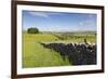 Dry Stone Wall, Farmers' Fields and a Copse of Trees, Limestone Way-Eleanor Scriven-Framed Photographic Print