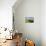 Dry Stone Wall, Farmers' Fields and a Copse of Trees, Limestone Way-Eleanor Scriven-Photographic Print displayed on a wall