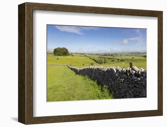 Dry Stone Wall, Farmers' Fields and a Copse of Trees, Limestone Way-Eleanor Scriven-Framed Photographic Print