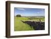 Dry Stone Wall, Farmers' Fields and a Copse of Trees, Limestone Way-Eleanor Scriven-Framed Photographic Print