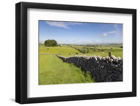 Dry Stone Wall, Farmers' Fields and a Copse of Trees, Limestone Way-Eleanor Scriven-Framed Photographic Print