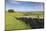 Dry Stone Wall, Farmers' Fields and a Copse of Trees, Limestone Way-Eleanor Scriven-Mounted Photographic Print