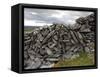 Dry Stone Wall on the Burren, County Clare, Munster, Republic of Ireland-Gary Cook-Framed Stretched Canvas