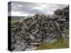 Dry Stone Wall on the Burren, County Clare, Munster, Republic of Ireland-Gary Cook-Stretched Canvas
