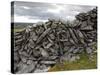 Dry Stone Wall on the Burren, County Clare, Munster, Republic of Ireland-Gary Cook-Stretched Canvas