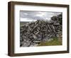 Dry Stone Wall on the Burren, County Clare, Munster, Republic of Ireland-Gary Cook-Framed Photographic Print